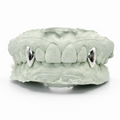 FANGS